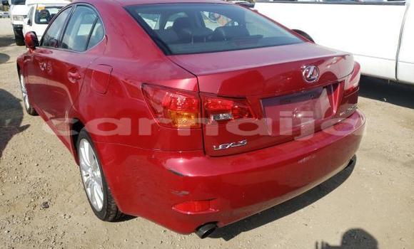 Acheter Neuf Voiture Lexus IS Rouge à Badagry, État de Lagos Acheter Neuf Voiture Lexus IS Rouge à Badagry, État de Lagos