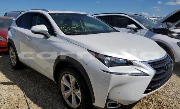 Buy New Lexus NX White Car in Badagry in Lagos State Buy New Lexus NX White Car in Badagry in Lagos State