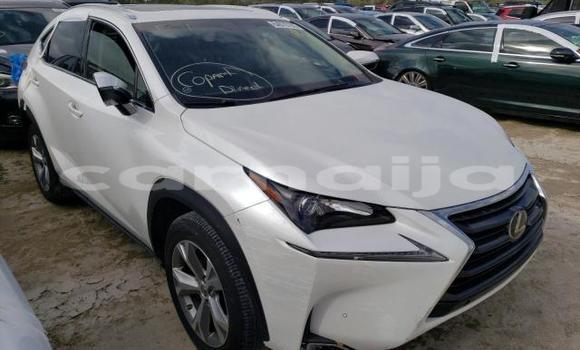 Buy New Lexus NX White Car in Badagry in Lagos State Buy New Lexus NX White Car in Badagry in Lagos State