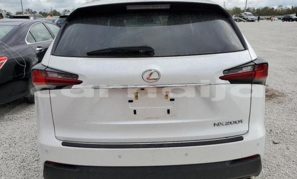 Buy New Lexus NX White Car in Badagry in Lagos State Buy New Lexus NX White Car in Badagry in Lagos State