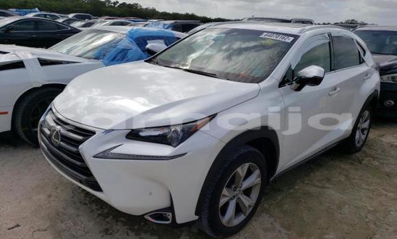 Buy New Lexus NX White Car in Badagry in Lagos State Buy New Lexus NX White Car in Badagry in Lagos State