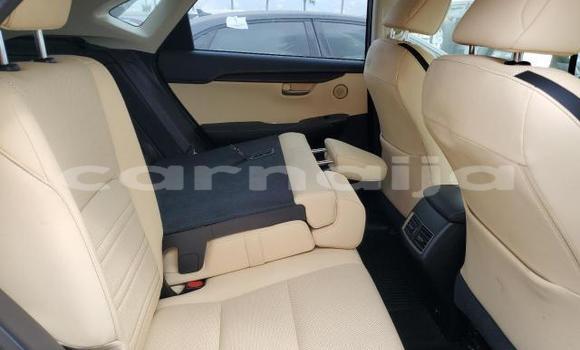 Buy New Lexus NX White Car in Badagry in Lagos State Buy New Lexus NX White Car in Badagry in Lagos State