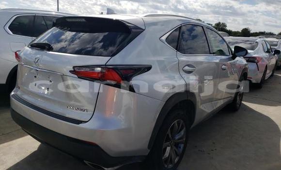 Acheter Neuf Voiture Lexus NX Gris à Badagry, État de Lagos Acheter Neuf Voiture Lexus NX Gris à Badagry, État de Lagos