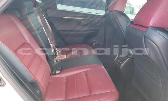 Acheter Neuf Voiture Lexus NX Gris à Badagry, État de Lagos Acheter Neuf Voiture Lexus NX Gris à Badagry, État de Lagos