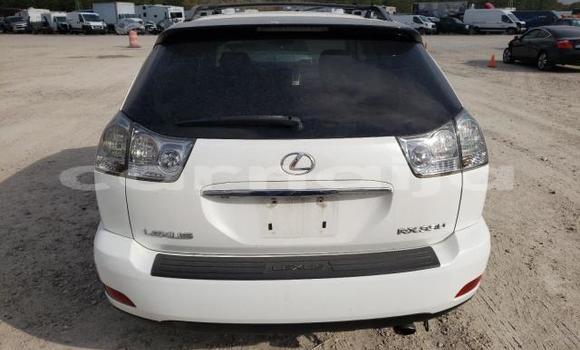 Acheter Neuf Voiture Lexus RX 330 Blanc à Badagry, État de Lagos Acheter Neuf Voiture Lexus RX 330 Blanc à Badagry, État de Lagos