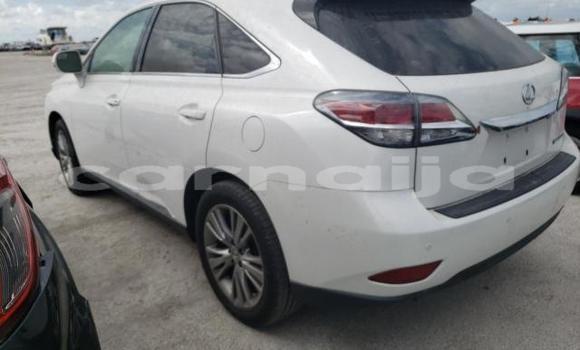 Acheter Neuf Voiture Lexus RX 350 Blanc à Badagry, État de Lagos Acheter Neuf Voiture Lexus RX 350 Blanc à Badagry, État de Lagos
