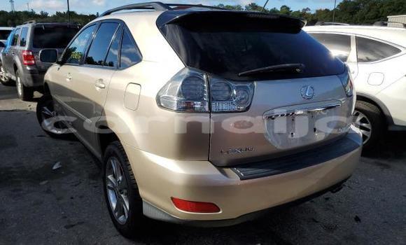 Acheter Neuf Voiture Lexus RX Beige à Badagry, État de Lagos Acheter Neuf Voiture Lexus RX Beige à Badagry, État de Lagos