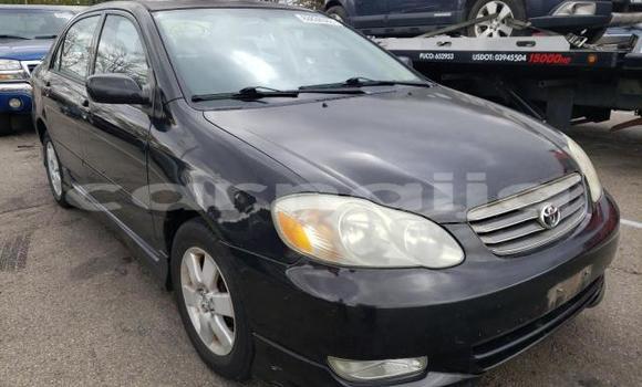 Buy Used Toyota Corolla Other Car in Lagos in Lagos State
