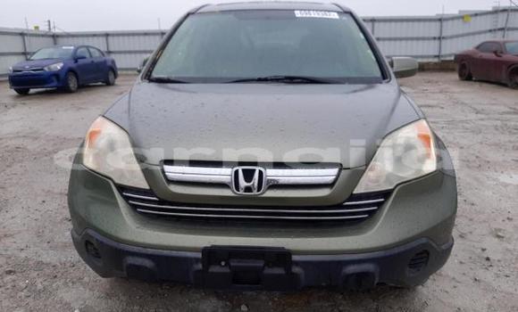 Buy New Honda CR–V Silver Car in Badagry in Lagos State Buy New Honda CR–V Silver Car in Badagry in Lagos State