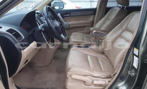 Acheter Neuf Voiture Honda CR–V Gris à Badagry, État de Lagos Acheter Neuf Voiture Honda CR–V Gris à Badagry, État de Lagos