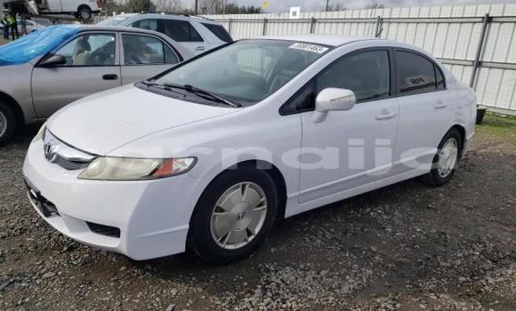 Acheter Neuf Voiture Honda Civic Blanc à Badagry, État de Lagos Acheter Neuf Voiture Honda Civic Blanc à Badagry, État de Lagos