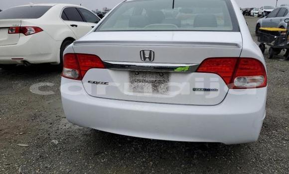 Acheter Neuf Voiture Honda Civic Blanc à Badagry, État de Lagos Acheter Neuf Voiture Honda Civic Blanc à Badagry, État de Lagos