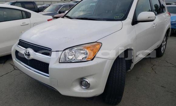 Buy Used Toyota RAV4 White Car in Lagos in Lagos State
