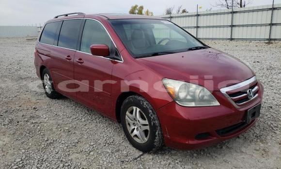 Buy New Honda Odyssey Red Car in Badagry in Lagos State
