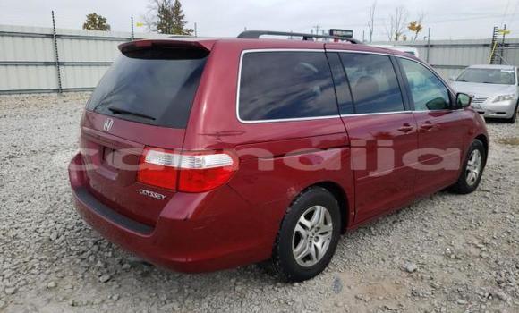 Buy New Honda Odyssey Red Car in Badagry in Lagos State Buy New Honda Odyssey Red Car in Badagry in Lagos State