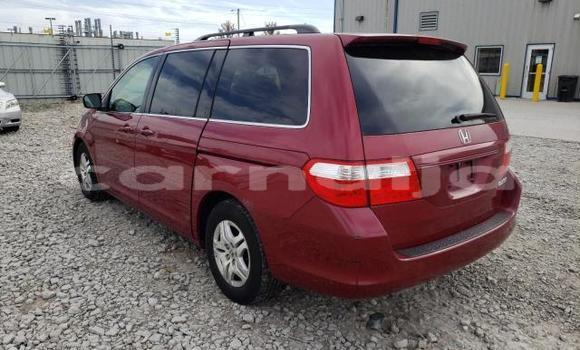 Buy New Honda Odyssey Red Car in Badagry in Lagos State Buy New Honda Odyssey Red Car in Badagry in Lagos State