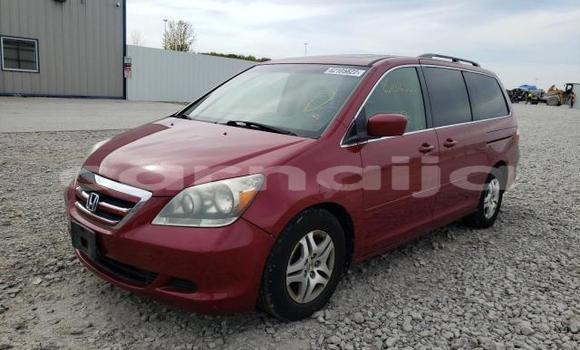 Buy New Honda Odyssey Red Car in Badagry in Lagos State Buy New Honda Odyssey Red Car in Badagry in Lagos State