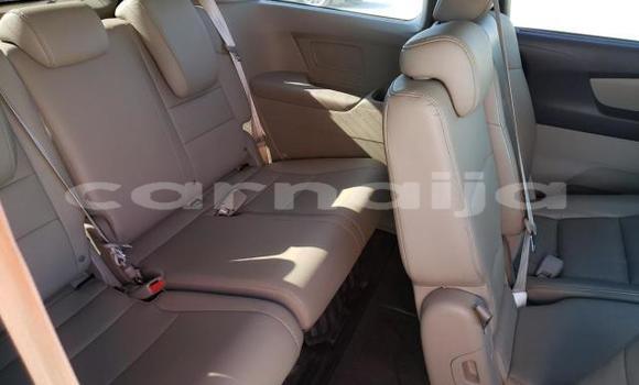 Buy New Honda Odyssey Red Car in Badagry in Lagos State Buy New Honda Odyssey Red Car in Badagry in Lagos State