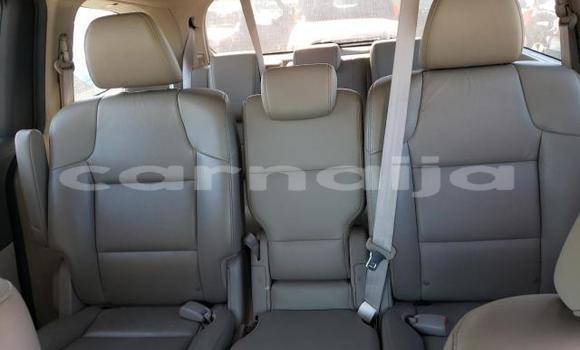 Buy New Honda Odyssey Red Car in Badagry in Lagos State Buy New Honda Odyssey Red Car in Badagry in Lagos State