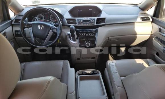 Buy New Honda Odyssey Red Car in Badagry in Lagos State Buy New Honda Odyssey Red Car in Badagry in Lagos State