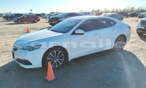 Buy New Acura TLX White Car in Abeokuta in Ogun State Buy New Acura TLX White Car in Abeokuta in Ogun State