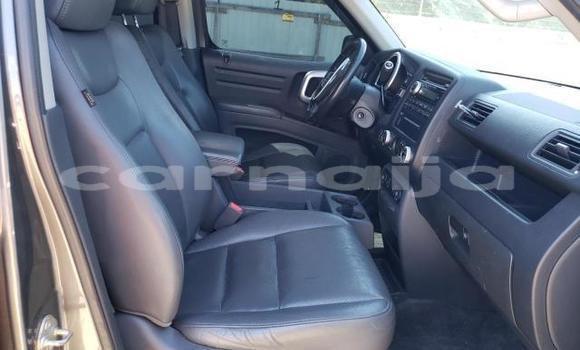 Acheter Neuf Voiture Honda Ridgeline Gris à Badagry, État de Lagos Acheter Neuf Voiture Honda Ridgeline Gris à Badagry, État de Lagos