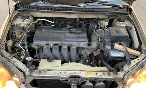 Buy Used Toyota Corolla Brown Car in Lagos in Lagos State Buy Used Toyota Corolla Brown Car in Lagos in Lagos State