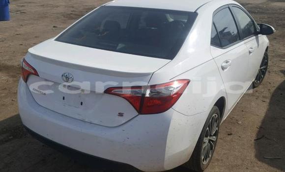 Buy Import Toyota Corolla White Car in Lagos in Lagos State Buy Import Toyota Corolla White Car in Lagos in Lagos State