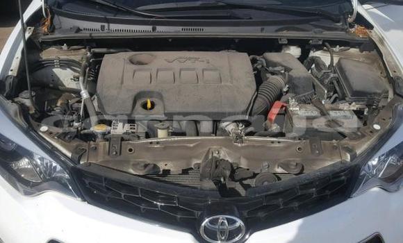 Buy Import Toyota Corolla White Car in Lagos in Lagos State Buy Import Toyota Corolla White Car in Lagos in Lagos State