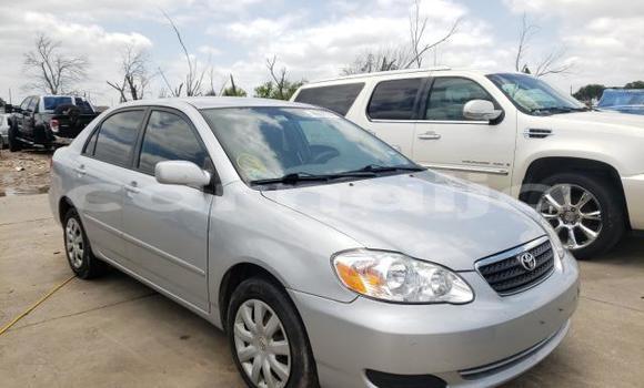 Buy Used Toyota Corolla Other Car in Lagos in Lagos State