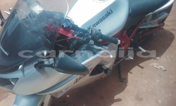 Buy Used Kawasaki Ninja Silver Bike in Abuja in Lagos State Buy Used Kawasaki Ninja Silver Bike in Abuja in Lagos State