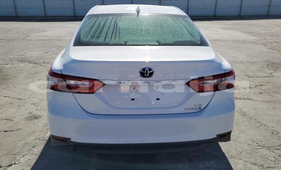 Acheter Neuf Voiture Toyota Camry Blanc à Badagry, État de Lagos Acheter Neuf Voiture Toyota Camry Blanc à Badagry, État de Lagos