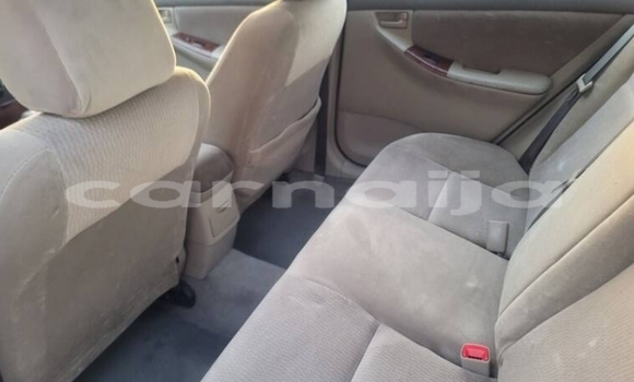 Buy New Toyota Corolla Red Car in Asaba in Delta State Buy New Toyota Corolla Red Car in Asaba in Delta State