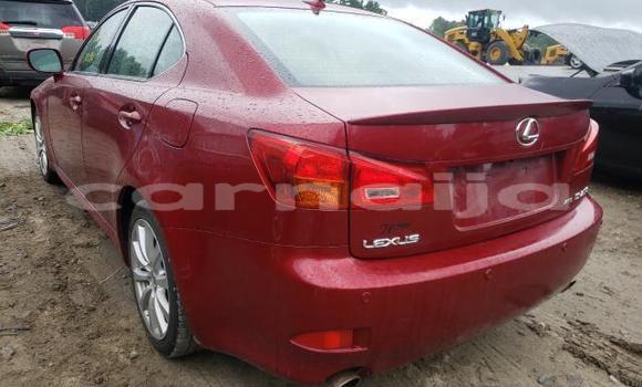 Acheter Import Voiture Lexus IS Autre à Lagos, État de Lagos Acheter Import Voiture Lexus IS Autre à Lagos, État de Lagos