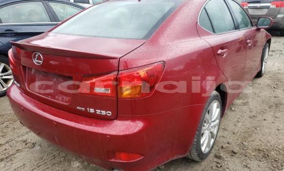 Acheter Import Voiture Lexus IS Autre à Lagos, État de Lagos Acheter Import Voiture Lexus IS Autre à Lagos, État de Lagos