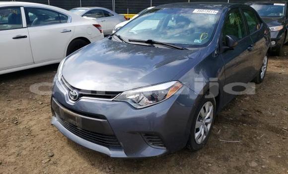 Acheter Import Voiture Toyota Corolla Autre à Lagos, État de Lagos Acheter Import Voiture Toyota Corolla Autre à Lagos, État de Lagos