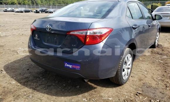 Acheter Import Voiture Toyota Corolla Autre à Lagos, État de Lagos Acheter Import Voiture Toyota Corolla Autre à Lagos, État de Lagos