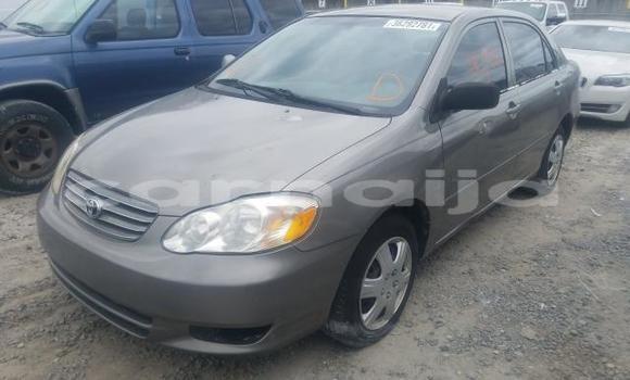 Acheter Import Voiture Toyota Corolla Autre à Lagos, État de Lagos Acheter Import Voiture Toyota Corolla Autre à Lagos, État de Lagos
