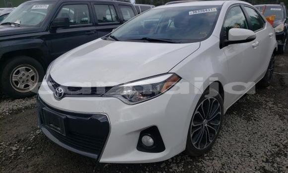 Buy Import Toyota Corolla Other Car in Lagos in Lagos State Buy Import Toyota Corolla Other Car in Lagos in Lagos State