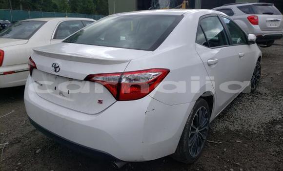 Buy Import Toyota Corolla Other Car in Lagos in Lagos State Buy Import Toyota Corolla Other Car in Lagos in Lagos State
