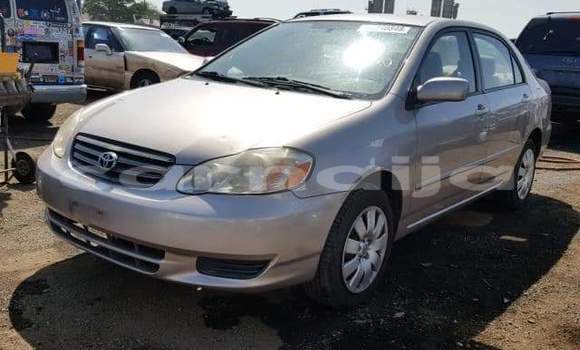 Acheter Occasion Voiture Toyota Corolla Marron à Abuja, État de Lagos Acheter Occasion Voiture Toyota Corolla Marron à Abuja, État de Lagos