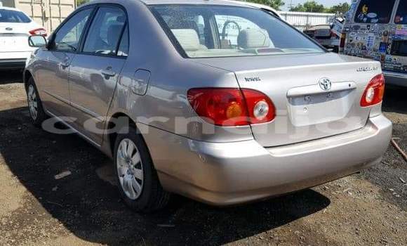 Acheter Occasion Voiture Toyota Corolla Marron à Abuja, État de Lagos Acheter Occasion Voiture Toyota Corolla Marron à Abuja, État de Lagos