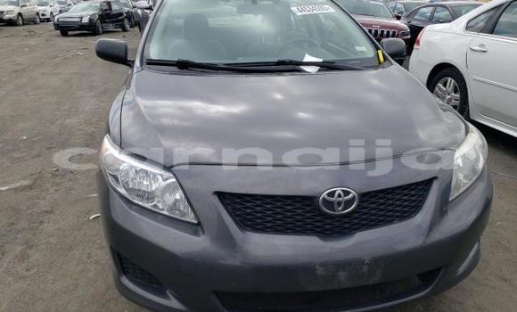 Buy New Toyota Corolla Other Car in Badagry in Lagos State