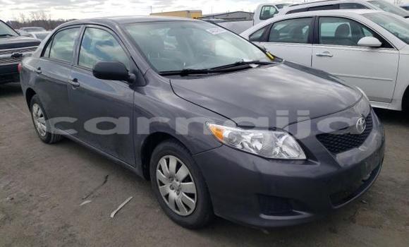 Acheter Neuf Voiture Toyota Corolla Autre à Badagry, État de Lagos Acheter Neuf Voiture Toyota Corolla Autre à Badagry, État de Lagos