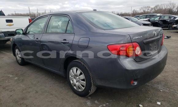 Acheter Neuf Voiture Toyota Corolla Autre à Badagry, État de Lagos Acheter Neuf Voiture Toyota Corolla Autre à Badagry, État de Lagos