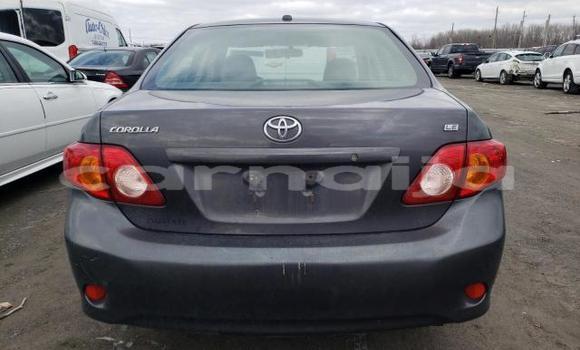 Acheter Neuf Voiture Toyota Corolla Autre à Badagry, État de Lagos Acheter Neuf Voiture Toyota Corolla Autre à Badagry, État de Lagos