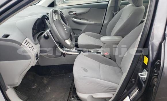 Acheter Neuf Voiture Toyota Corolla Autre à Badagry, État de Lagos Acheter Neuf Voiture Toyota Corolla Autre à Badagry, État de Lagos