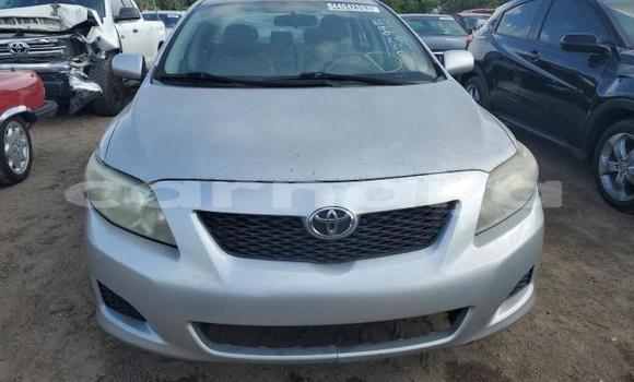 Buy New Toyota Corolla Silver Car in Badagry in Lagos State