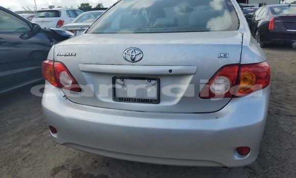 Acheter Neuf Voiture Toyota Corolla Gris à Badagry, État de Lagos Acheter Neuf Voiture Toyota Corolla Gris à Badagry, État de Lagos