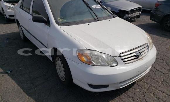 Buy New Toyota Corolla White Car in Badagry in Lagos State